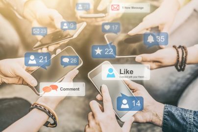 NEU: Der Wildbach auf Social Media