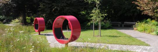 Blick in den Wildbach-Park