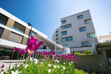 Haus Ahorn