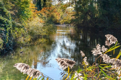 Veränderung Leitung Pflegezentrum Wildbach