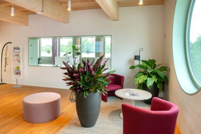 Neue Website ab April 2024