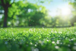 Unsere Energie- und Ressourcenspartipps