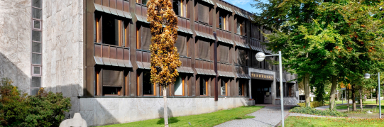 Beschlüsse aus der Stadtratssitzung vom 21. Oktober 2026