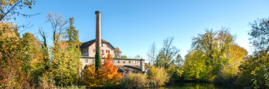 Natur- und Landschaftsinventarobjekt Nr. 4.129, Rosskastanie, Haldenstrasse: Unterschutzstellung