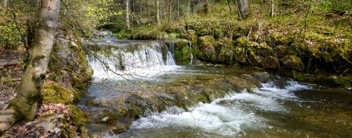 Bild Kemptnerbach im Kemptnertobel