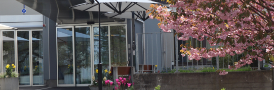 Tarif- und Taxordnung 2025, Pflegezentrum Wildbach