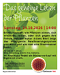 Das geheime Leben der Pflanzen