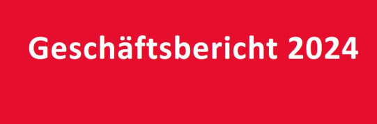 Geschäftsbericht 2024 der Stadt Wetzikon