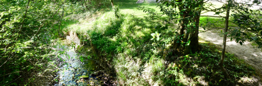 Baumfällungen für den Neubau des Schulhauses Walenbach