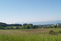 Veranstaltung &quot;Mehr Blumenwiesen in Wetzikon&quot; in der Garage