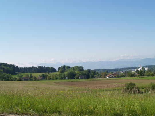 Veranstaltung "Mehr Blumenwiesen in Wetzikon" in der Garage
