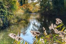 Veränderung Leitung Pflegezentrum Wildbach