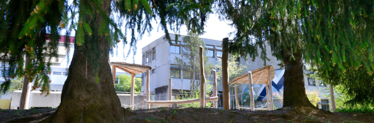 Truppenbelegung in Wetzikon