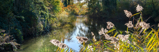 Veränderung Leitung Pflegezentrum Wildbach