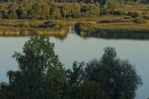 Schiffsmelde- und -reinigungspflicht im Kanton Zürich ab 1. April 2025