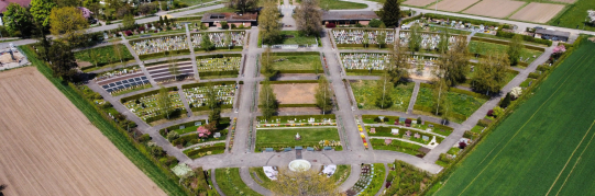 Urnenbeisetzung Friedhof Wetzikon