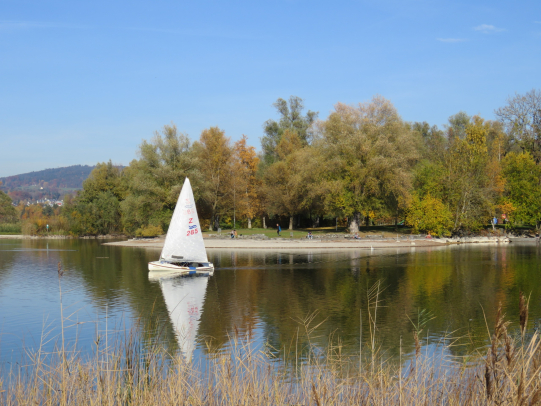 Neubau Fussweg am Bahndamm zwischen Strandbad- und Pappelnstrasse, Öffentliche Planauflage