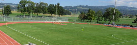 Kreditbewilligung gebundene Ausgabe