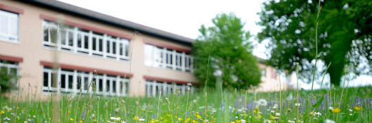 Erweiterung der Primarschulanlage Guldisloo – Planungskredit geht ans Parlament