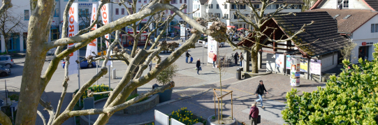 Leitungsausbau an der Bahnhofstrasse Wetzikon (März – November 2026)