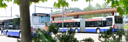 Stadtrat empfiehlt Volksinitiative "Zone 132 für 100 Franken" zur Ablehnung