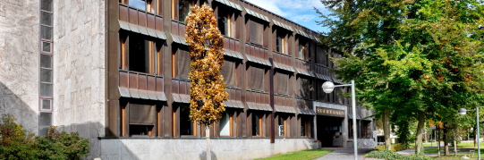 Beschlüsse aus der Stadtratssitzung vom 11. März 2026