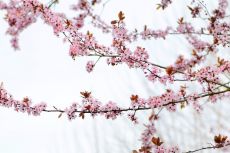 Öffnungszeiten der Stadt Wetzikon am 1. Mai 2026