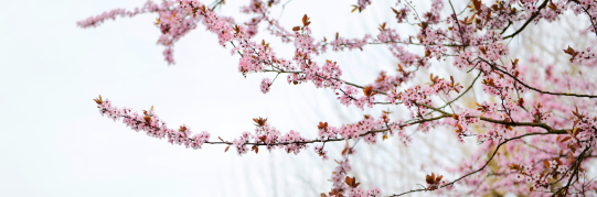 Öffnungszeiten der Stadt Wetzikon am 1. Mai 2026