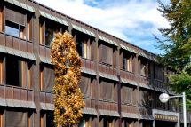 Jahresrechnung 2025 der Stadt Wetzikon mit Rekordergebnis