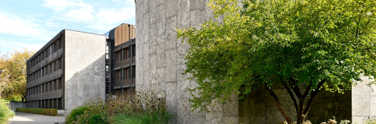  Beschlüsse aus der Stadtratssitzung vom 17. Juni 2026