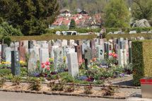 Frühlingsbepflanzung