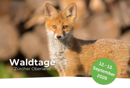Titelbild Waldtage 2026